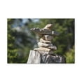thumbnail image 3 of Stones Trail as Marker Forest Floral Nature Photography Canvas Wall Art for Home Decor Ready-to-Hang, 3 of 18