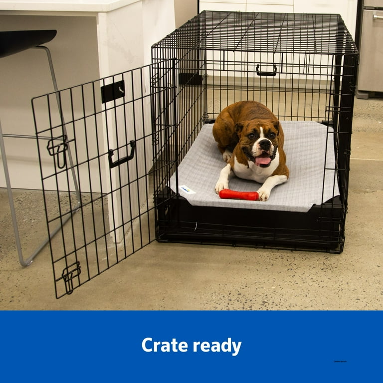 Coolaroo Cooling Elevated Dog Bed PRO with Heatshield Fits in 48in Crate Easy Assembly Everglade Green