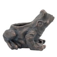thumbnail image 4 of Benjara BM238458 14 in. Polyresin Frog Planter with Textured Accents, Black, 4 of 5