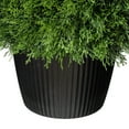 thumbnail image 6 of Vickerman 24" Artificial Potted Green Cedar Ball., 6 of 8