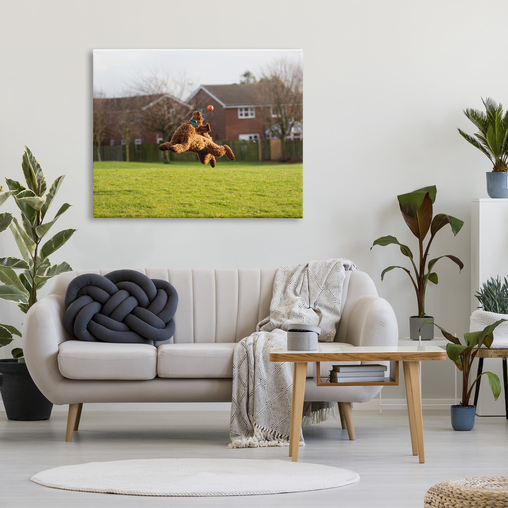 Stupell Industries Eye on the Ball Dog Animals & Insects Photography Gallery Wrapped Canvas Art Print Wall Art, 48 x 36