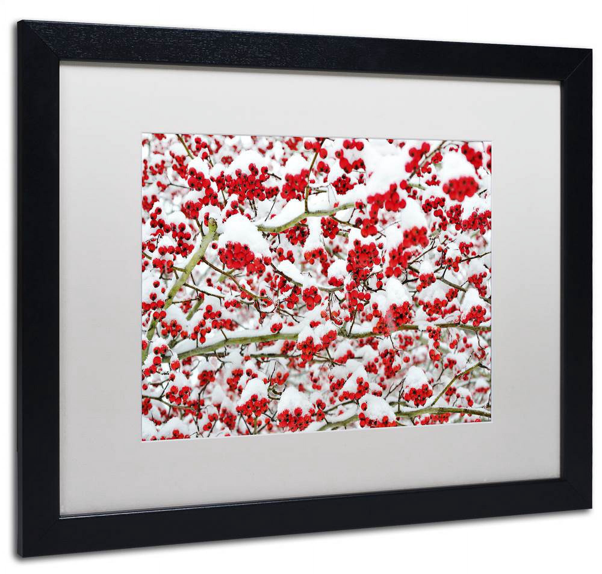 Trademark Fine Art "Winter Berries in the Snow" Canvas Art by Kurt Shaffer White Matte, Black Frame