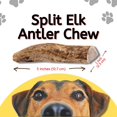 thumbnail image 3 of Split Elk Antler for Dogs – Safe, Nutritious & Natural Sustainable Antler Chew Toy - 5 Inches Long, 1 Inch Wide – Elk Shed Their Horns - No Animals Harmed (1 Pack), 3 of 8