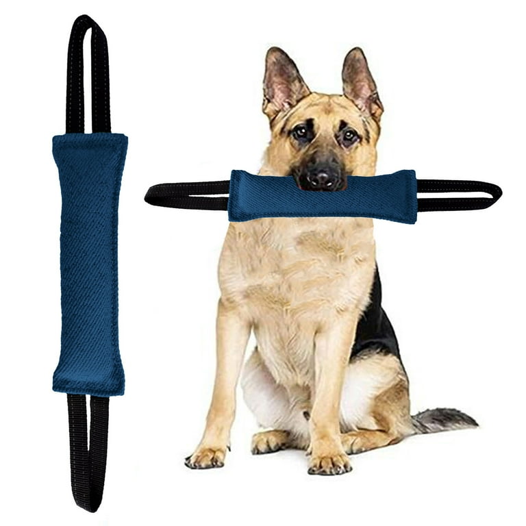 Large breed dog training hotsell