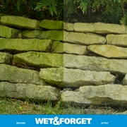 Wet & Forget Outdoor Moss, Mold, Mildew, and Algae Stain Remover Concentrate, 128 oz