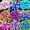 Mix-A, variant on Mixed Hostas Planting-Premium Garden Stakes-Ornamental Home Decoration-Beautiful Gift Garden-Bloom Year After Year-(Non-Artificial)