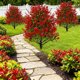 thumbnail image 5 of Estacas de helecho artificial para el suelo, plantas de follaje sintético para la decoración de jardines, patios y exteriores | Arbustos artificiales realistas para parterres, caminos y césped, 5 of 6