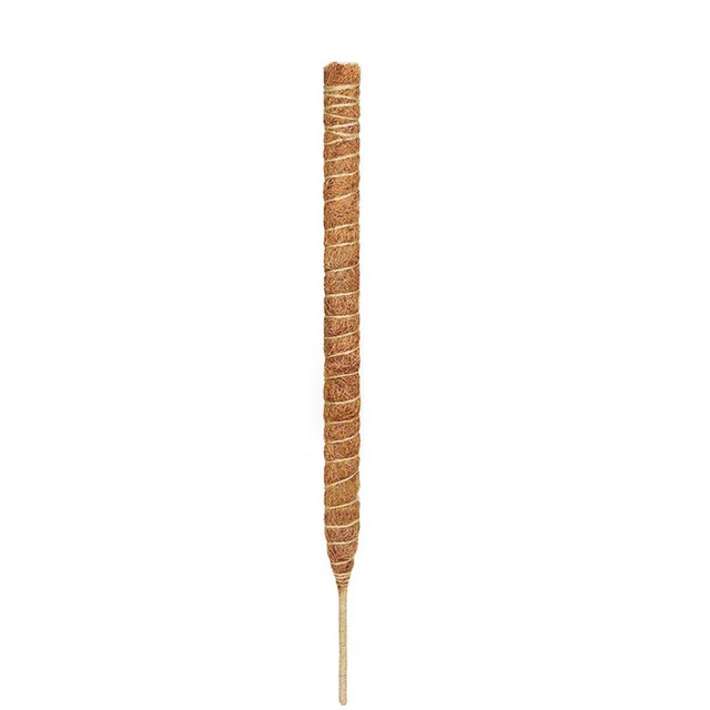 LSLJS Plant Climbing Pole, Curved Pole, Free Form Plant Climbing Pole, Moss Pole, Horticultural Palm Pole, Home Kitchen Gadgets Accessories