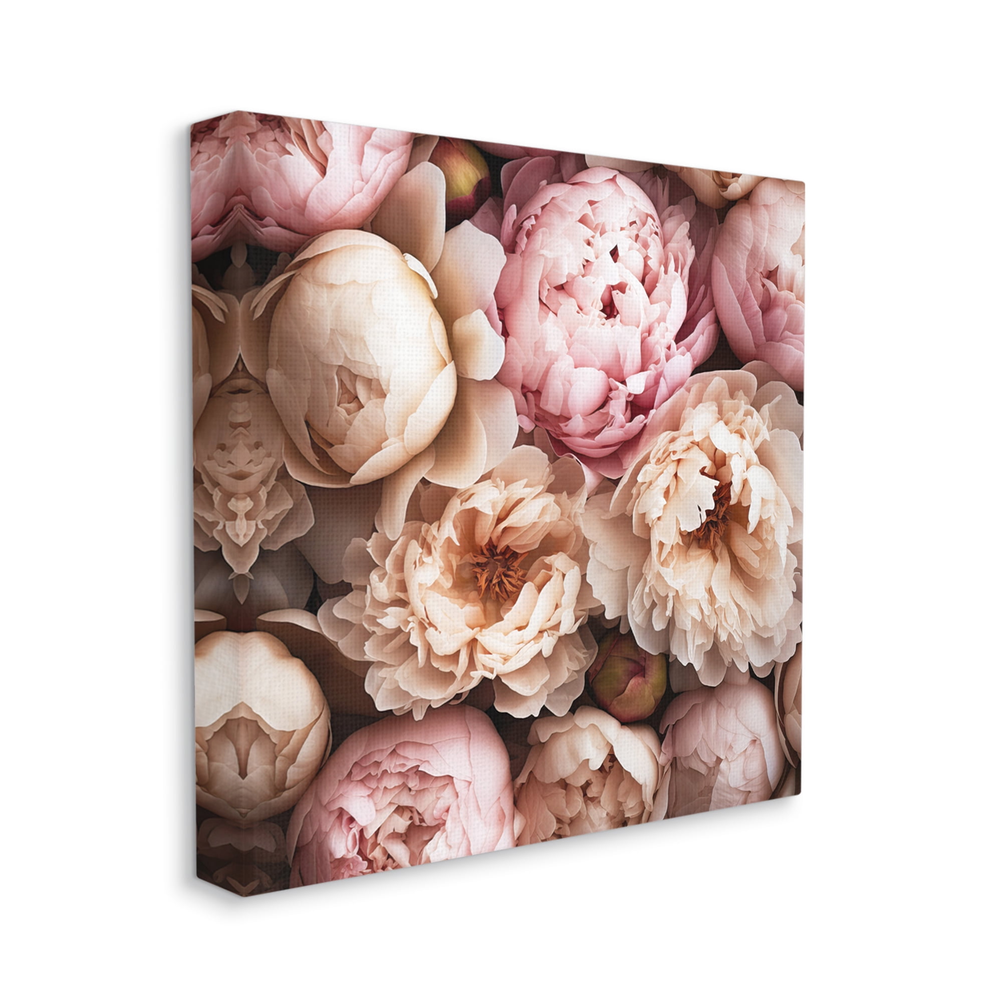 Stupell Industries Soft Peonies Photography Botanical & Floral Photography Gallery Wrapped Canvas Art Print Wall Art, 24 x 24