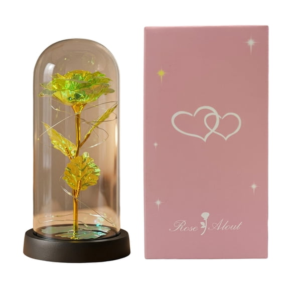 Selrti Preserved Rose in Dome with LED Light Artificial Eternal Rose Flower Gifts for Her Mom Women Valentine's Day Mother's Day Christmas Birthday Gift