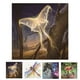 thumbnail image 3 of 5D DIY mariposa / libélula / Lobo / pájaro Animal pintura diamante punto de cruz redondo resina cristal bordado imagen regalos kenally JJ15633-02, 3 of 6