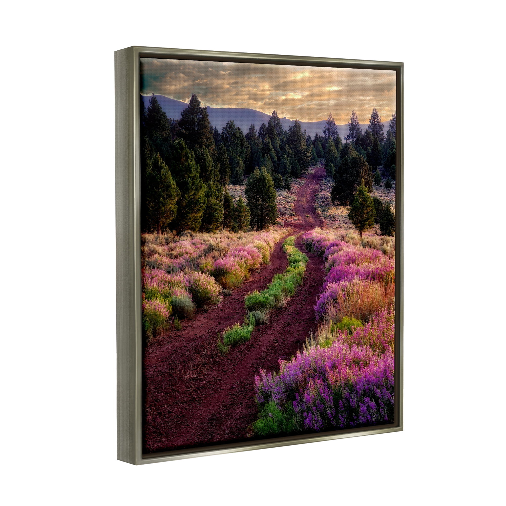 Stupell Industries Pink Blooming Meadow Landscape Landscape Photography Gray Floater Framed Art Print Wall Art