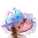 thumbnail image 2 of SAYOO Sombrero de mujer elegante tela de malla plegada con flores adornadas con cornisa ancha SAYOO  moda, 2 of 5