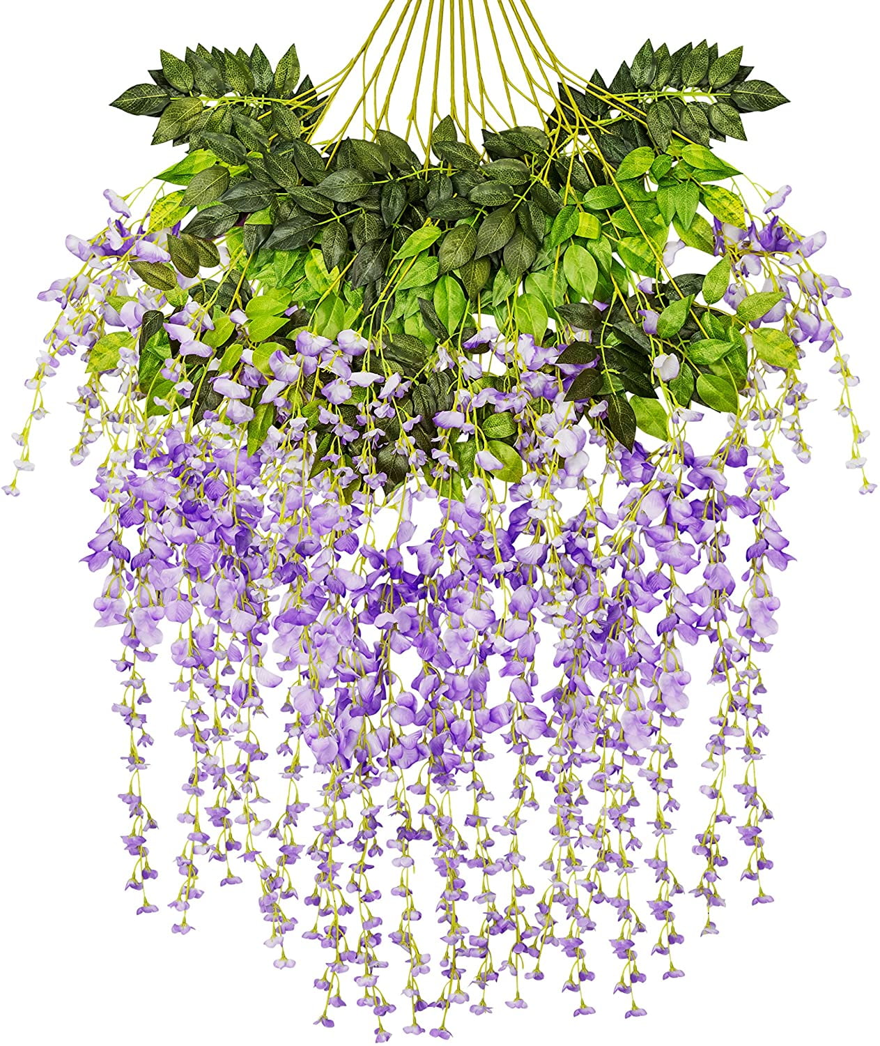 Висячие цветы. Глициния лоза. Висячие цветы. Глициния роял пурпл. Цветочная лоза глициния.