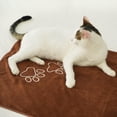 thumbnail image 3 of Unconditional Love | Premium Pet Towel (Brown), 3 of 6