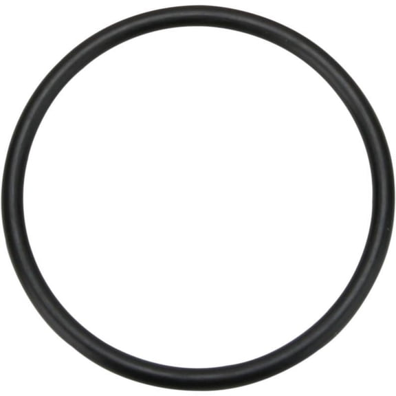 James Gaskets 11113 5th Gear Transmission O-Ring for 5-Speed XL