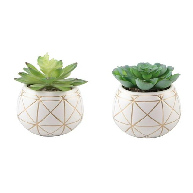 Flora Bunda CS2497E2 4 in. Geo Or Rond Jardinière Succulente en Céramique - Lot de 2