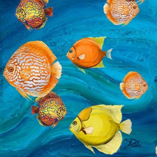 Aquatic Sea Life II Canvas Art - Patricia Pinto ()