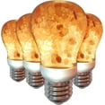 thumbnail image 1 of SHIQI-Salt Bulb, Patent Design Warm Amber Glow, LED Light Bulbs, 4 Count, Orange, W1651B-4PK, 1 of 4