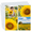 25 Pack-4x6" Horizontal, variant on 12x12 Scrapbook Page Protectors 50 Pack 4x6" Horizontal Layout