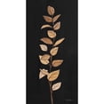 thumbnail image 3 of Vassileva, Silvia 14x24 Black Modern Framed Museum Art Print Titled - Farm Branch II on Black, 3 of 5