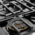 thumbnail image 5 of ZLINE 36" 5.2 cu. ft. Paramount Dual Fuel Range with 6 Burners in Stainless Steel, SDR36, 5 of 8
