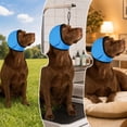 thumbnail image 5 of Noise Cancelling Ear Wrap for Dog, No Shake Ear Muffs Noise Protection Firework Thunder Vacuum, Comfortable Quiet Dogs Calming Earmuffs, Adjustable for Grooming Bathing & Swimming, 5 of 7