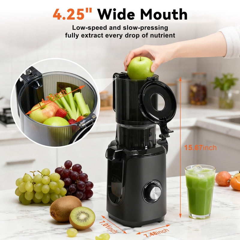 Gianna Cold Press Juicer, Masticating Juicer Machines with Wide Feed Chute, High Juice Yield and Easy to Clean for Whole Vegetables & Fruits, Black