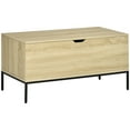 thumbnail image 1 of HOMCOM Banc de Rangement, Coffre de Rangement à Dessus Relevable, Banc à Chaussures, Organisateur de Boîte à Jouets, 1 of 10