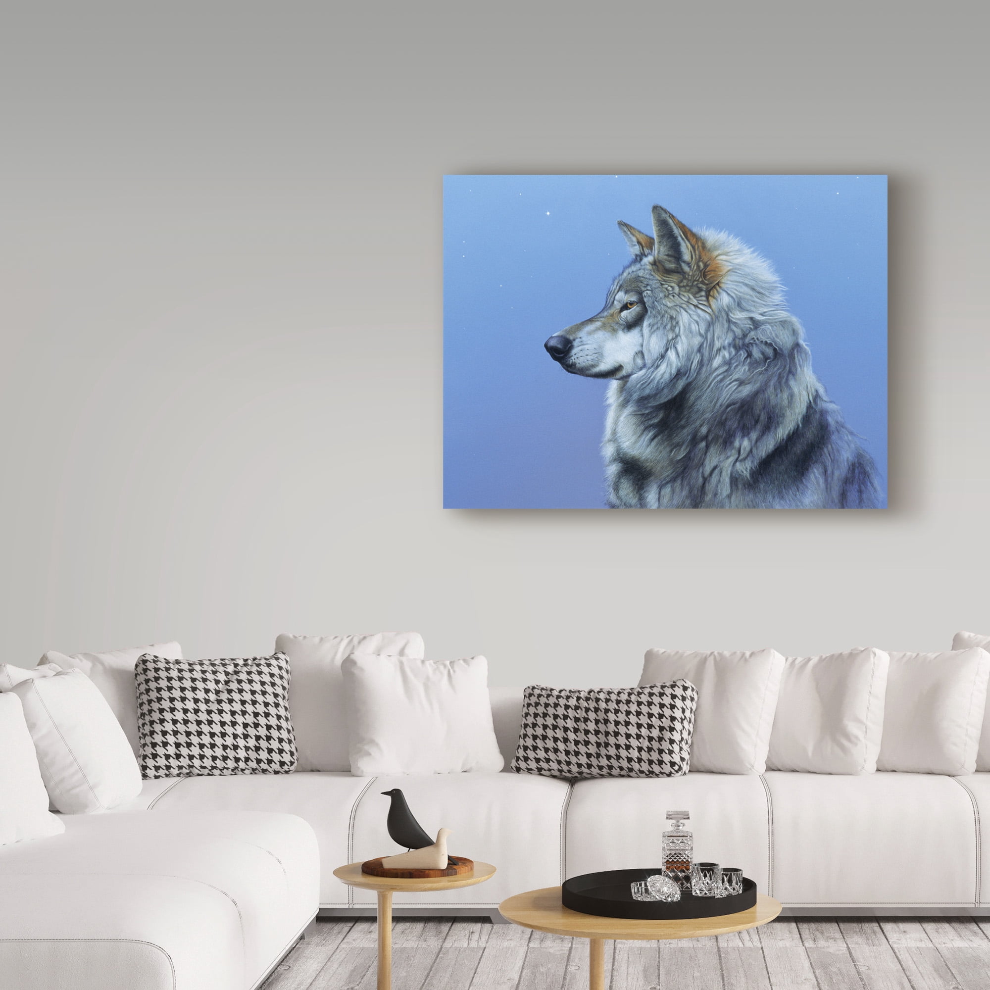 Trademark Fine Art 'Northern Star' Canvas Art by Rusty Frentner