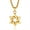 Gold, variant on ChainsProMax Black Jewish Necklace Stainless Steel Chain Star of David Pendant