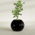 thumbnail image 2 of Greenline Nala Globe Planter - Indoor/Outdoor Large Fiberglass Lightweight Planter - 30" x 30" x 24" (Gloss Black), 2 of 7