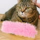 thumbnail image 3 of 2pcs Juguetes de gato almohadas gato Strinky Sound Sound Toys Catnip Toys Cat Toyting Toys, 3 of 4