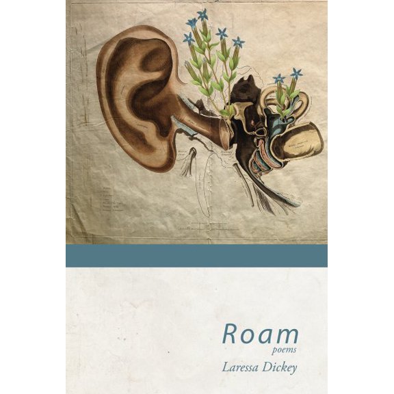 Pre-Owned Roam