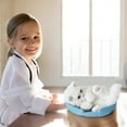 thumbnail image 2 of Realistic Meowing Furry Kitty Ornament - Ideal for Home, Shelf, and Car Decor, 2 of 4