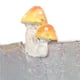 thumbnail image 3 of Tomfeel Tocón de árbol Maceta de flores suculentas Dibujos animados Estilo pastoral Maceta de animal Carevas Gris, 3 of 7
