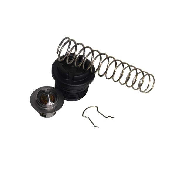 Swimables Kit Régulateur Thermique Compatible avec Tous les Chauffages Pentair Mastertemp Ou Sta Rite 77707-0010 - Remplacement du Régulateur Thermique Pentair 77707-0010 - Extra Heavy Duty