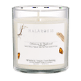 thumbnail image 2 of Halarosis, 8.5 oz, Soy Candle, Oakmoss & Driftwood, Container Candle, 2 of 5