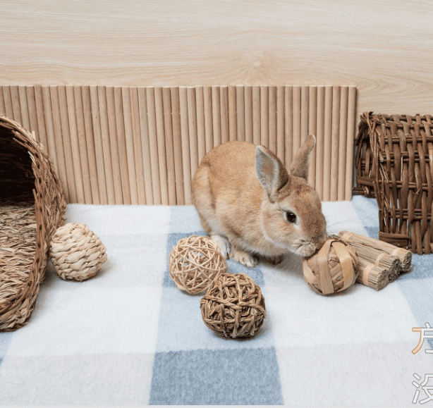 Natural Chew Activity Toys Fun Safe Hay Grass Pet Balls for Chinchilla Guinea Pig Rats Rabbits Hamster Gerbil Degu Bunny and Other Small Animals