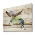 thumbnail image 2 of Designart 'Two Barn Swallows Birds On Branch' Farmhouse Print on Natural Pine Wood, 2 of 5