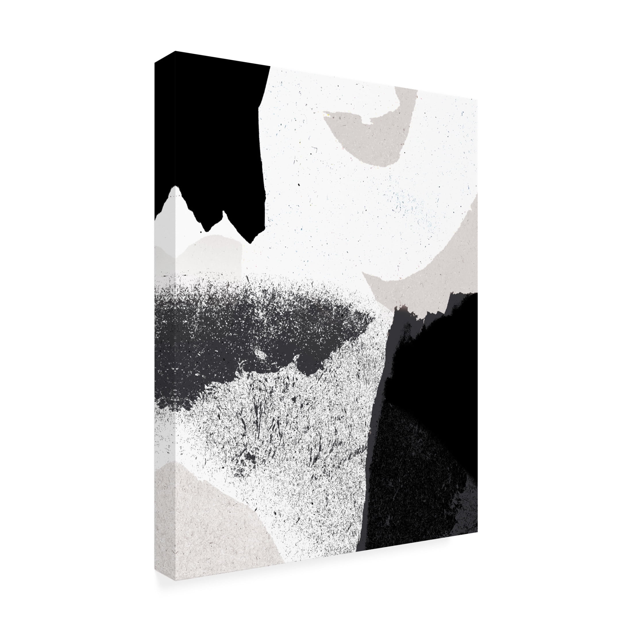 Trademark Fine Art Aylin Demir  Black and White Canvas Wall Art