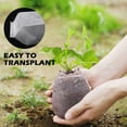 thumbnail image 5 of 100PCs B iodegradable Non Woven Fabric Nursery Plant Pla Bags Seedling Grow L2P8, 5 of 8