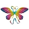 thumbnail image 1 of CSChome Party Balloon Reusable Gradient Ramp Party Balloon: Colorful Photography Prop Kids Back Hanging, 1 of 7