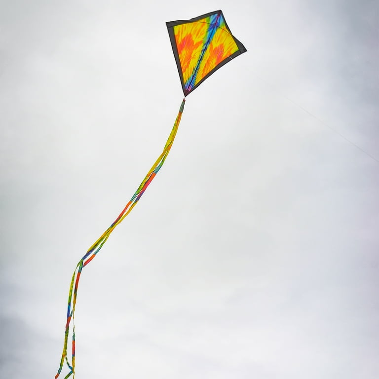 リネ・タトウィラー、【A Great Day to Fly A Kite】 2Pcs Big Delta Kite with 262.5ft Kite String, Red & Green