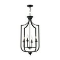 thumbnail image 3 of Trans Globe Lighting 11216 Hillcrest 4 Light 16" Wide Pendant - Black, 3 of 6