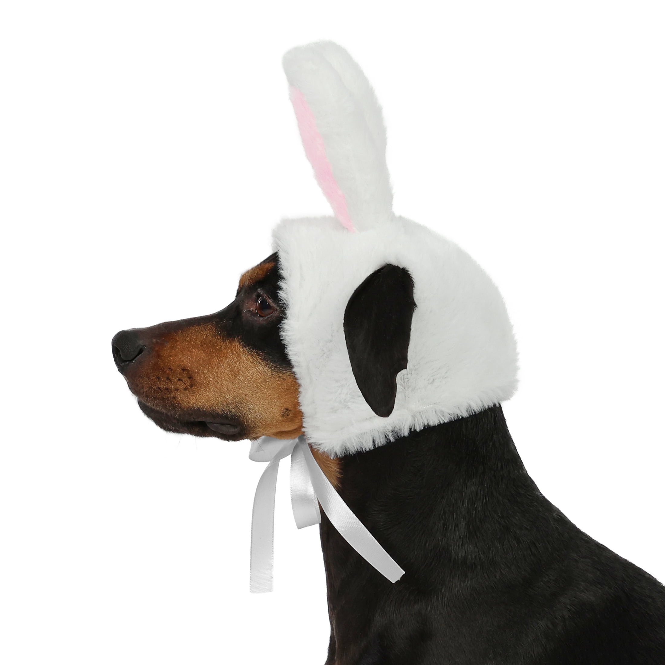Vibrant Life Easter Bunny Ears for Cats & Dogs, White, S