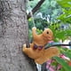 thumbnail image 4 of 2x Climbing Animal Figurines Ornament Pot Hanger for Tree Decoration Sunnimix none, 4 of 8