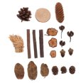thumbnail image 6 of COMPUKAS 1 Set Rustic Multi Vintage Dried Fruit and Flower Set with Pine Tree Decor 4.06X0.39X0.39in, 6 of 8