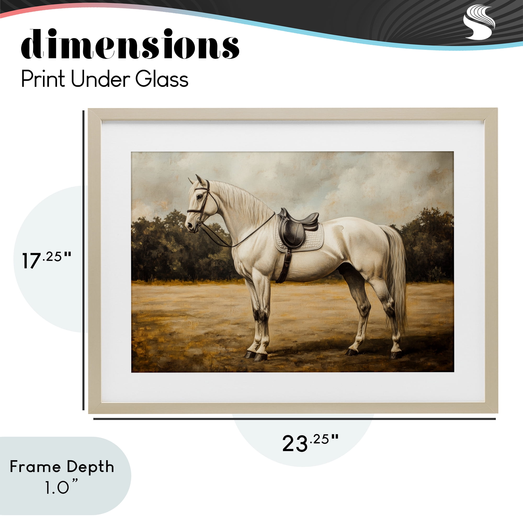 Stupell Industries White Mare with Saddle Birch Framed Print Under Glass, design by Petal Prints Design