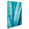 thumbnail image 2 of Trademark Fine Art 'Abstract Agava III Color' Canvas Art by Elizabeth Urquhart, 2 of 3